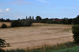 Crowland Fields