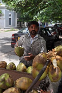 Coconut Pondi